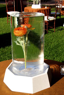 Ice Sculpture