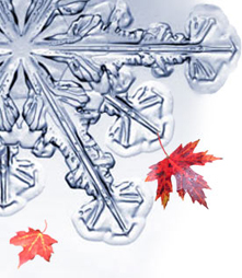 Ice Sculpture