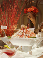 shrimp_display